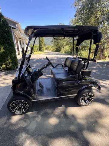 2024 HDK Electric Golf Cart - Photo 2