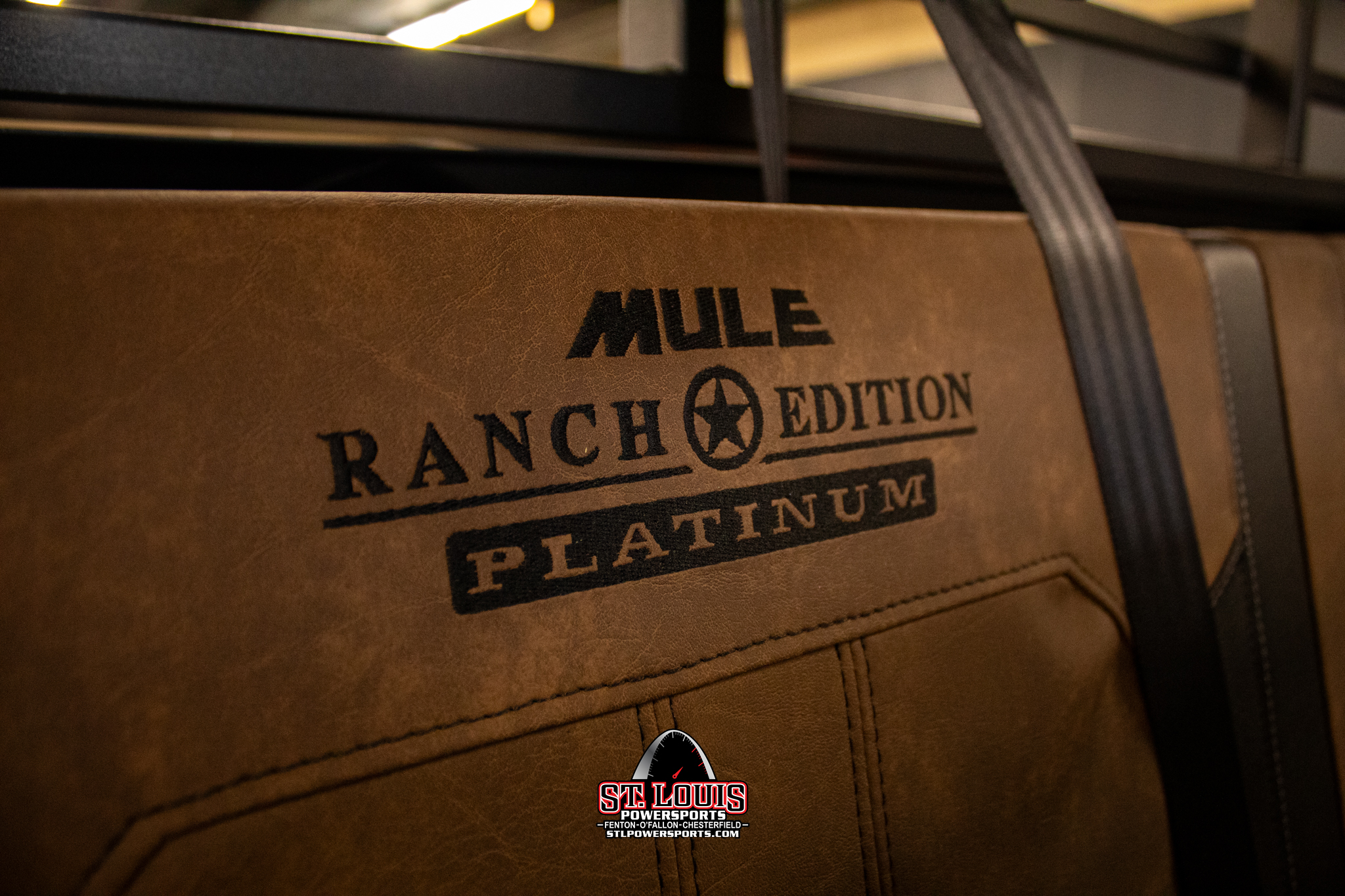 2024 Kawasaki Mule™ PRO-FXT 1000 Platinum Ranch Edition - Photo 9