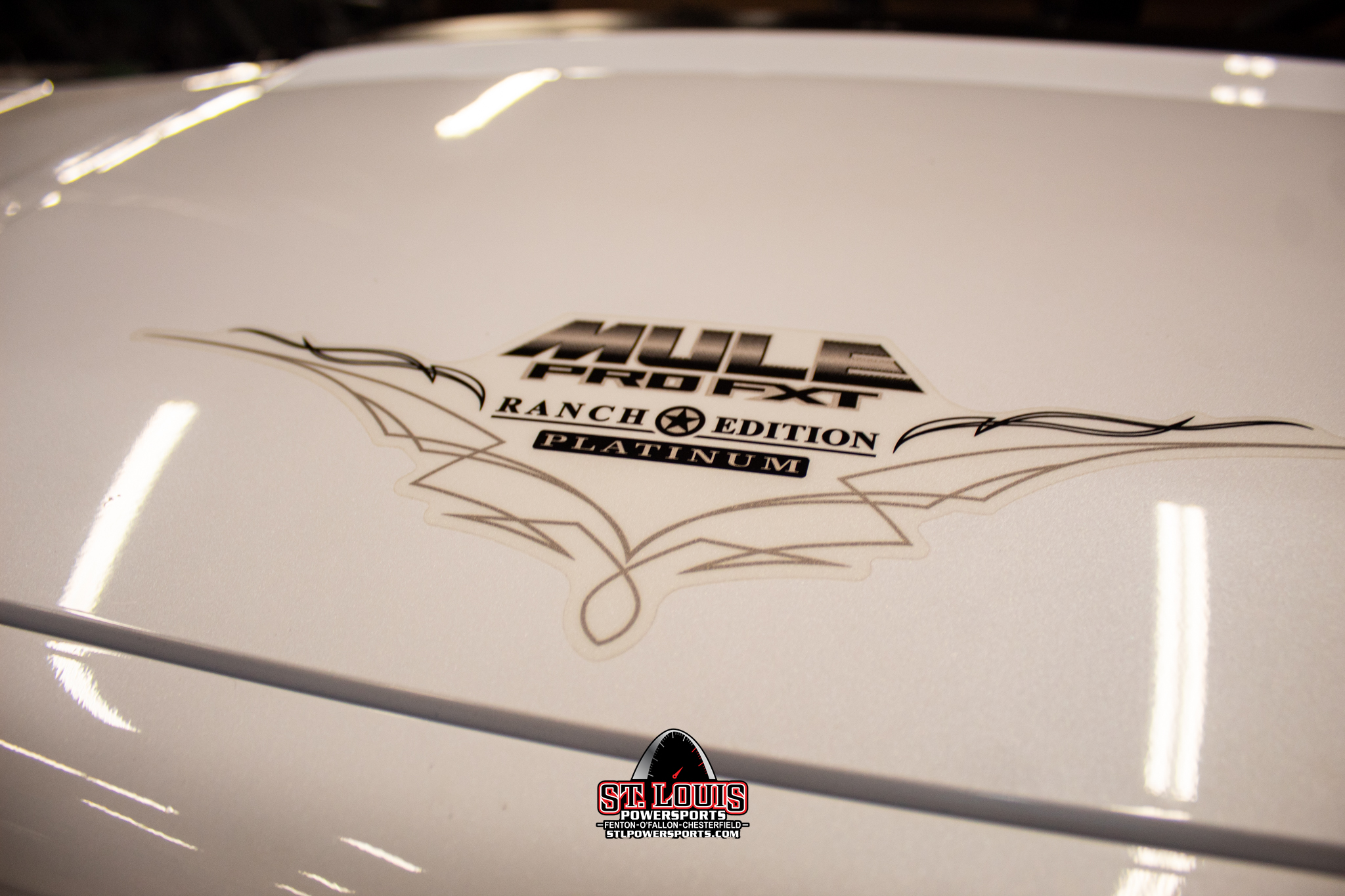 2024 Kawasaki Mule™ PRO-FXT 1000 Platinum Ranch Edition - Photo 18