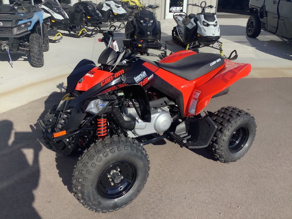 2026 Can-Am DS 250