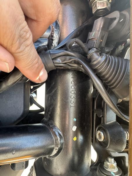 2019 Ducati SCRAMBLER 1100 - Photo 2