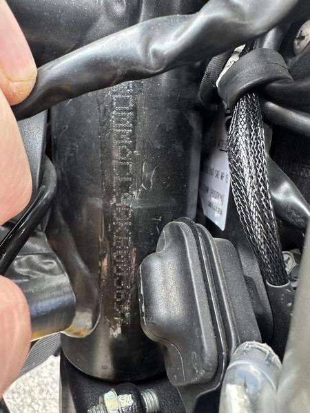 2019 Ducati Monster 821 - Photo 3