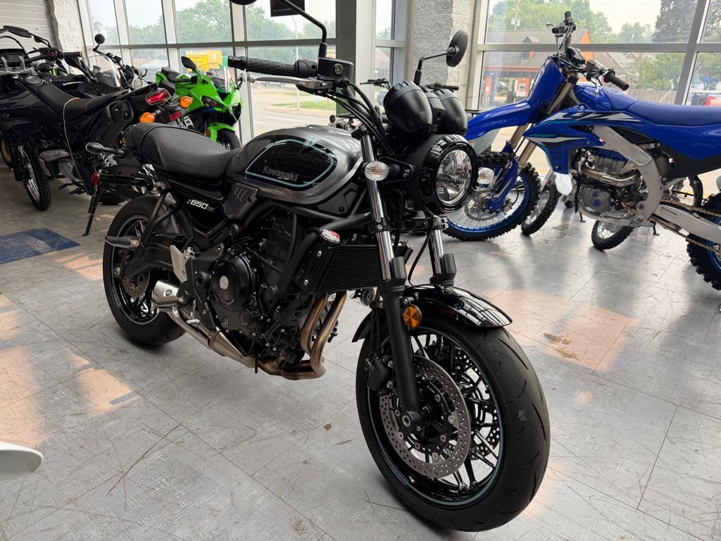 Used Inventory Rosenau Powersports Dearborn Heights, MI (313) 278-5000