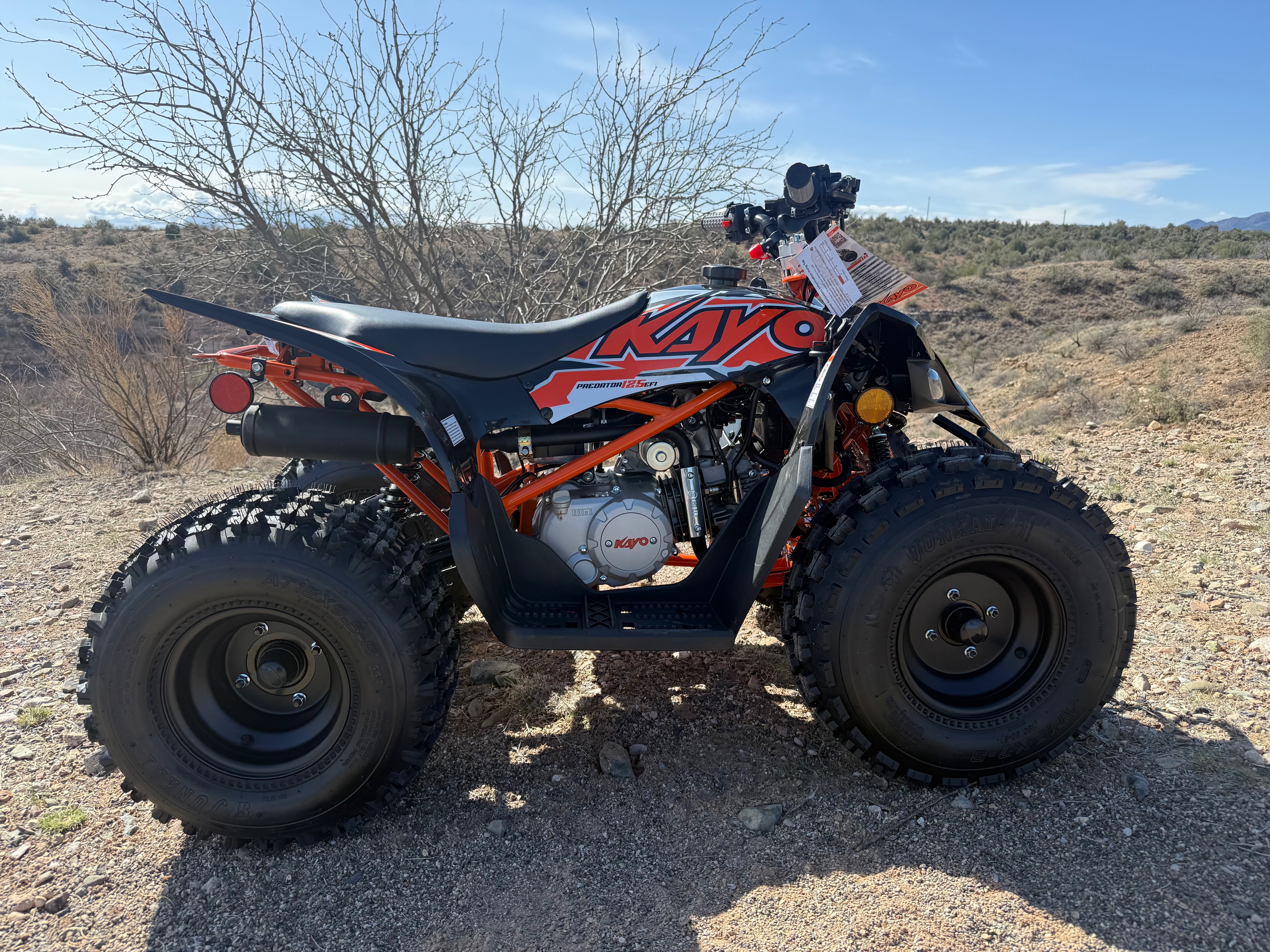 Kayo Predator 125 Image