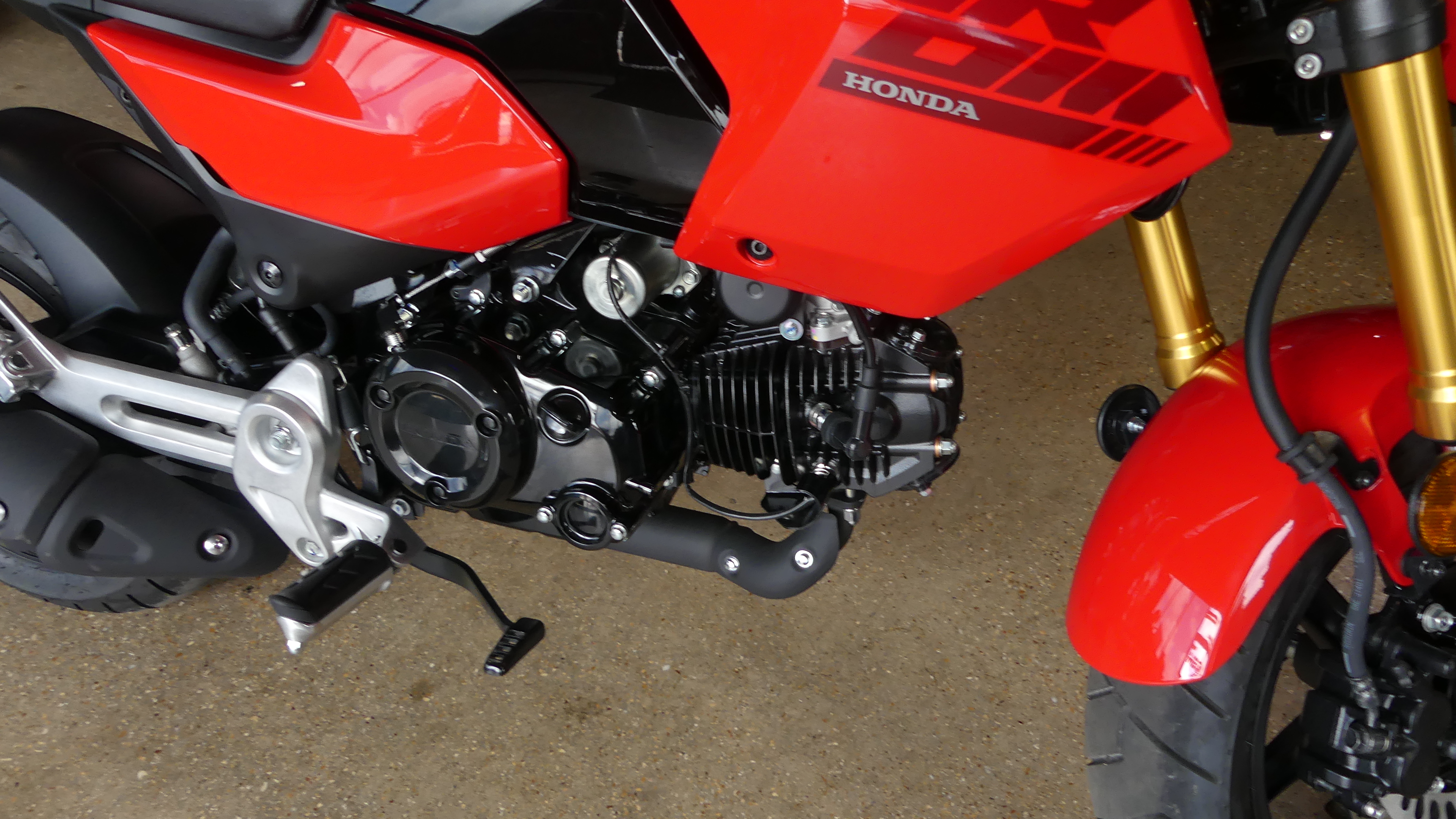 2026 Honda Grom - Photo 3