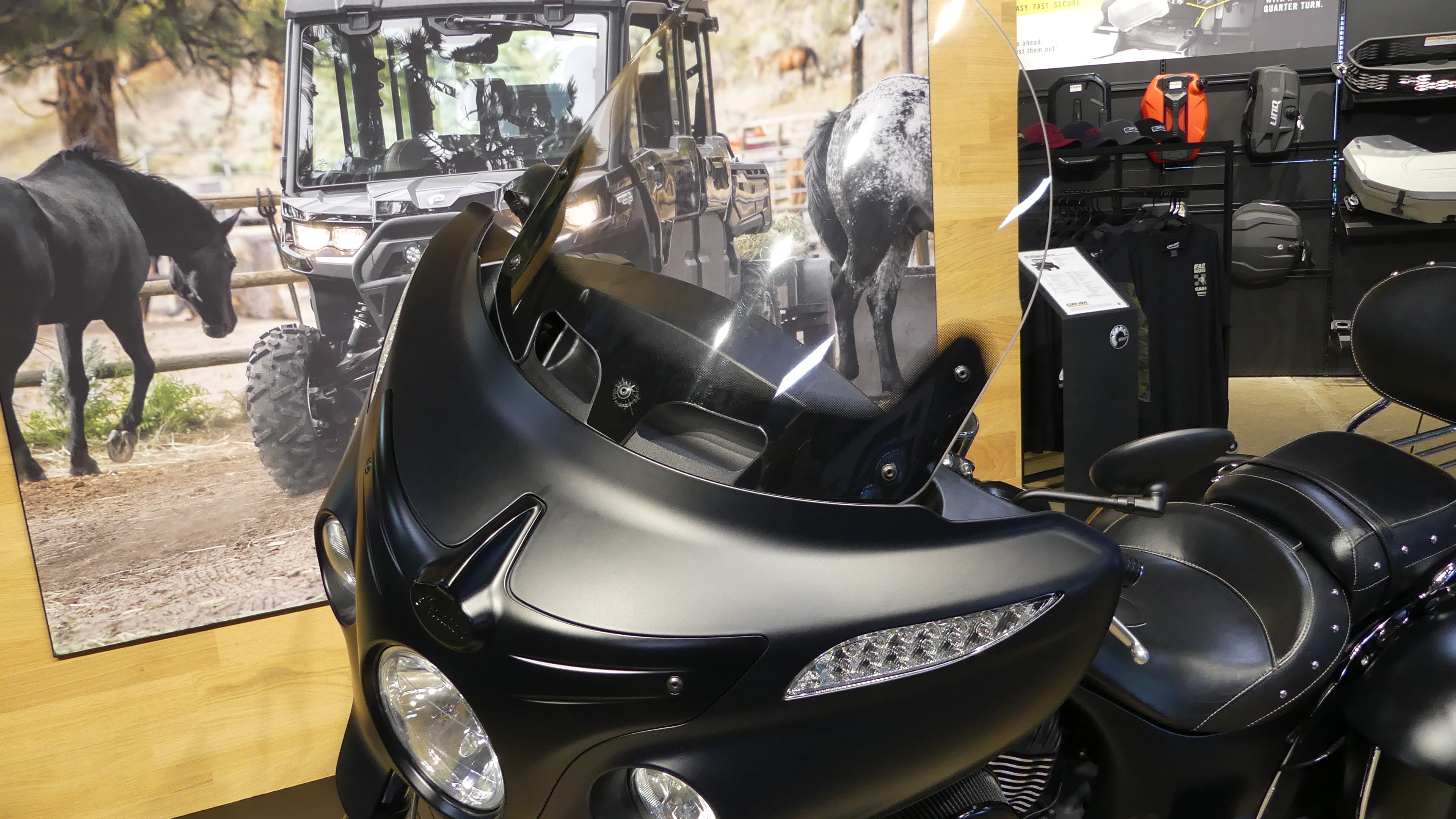 2016 Indian Motorcycle Chieftain Dark Horse - Photo 10