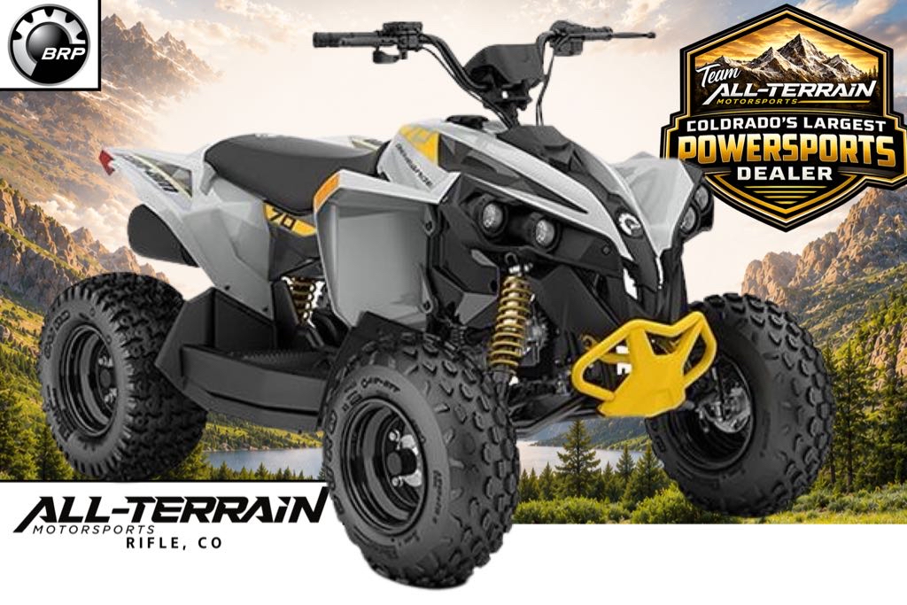 New 2026 Can-Am Renegade 70 EFI
