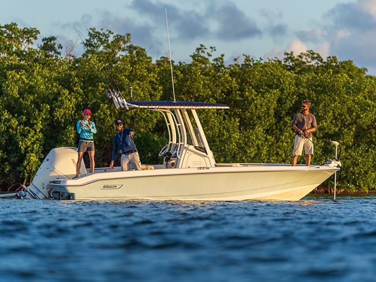 2026 Boston Whaler 220 DAUNTLESS - Photo 15