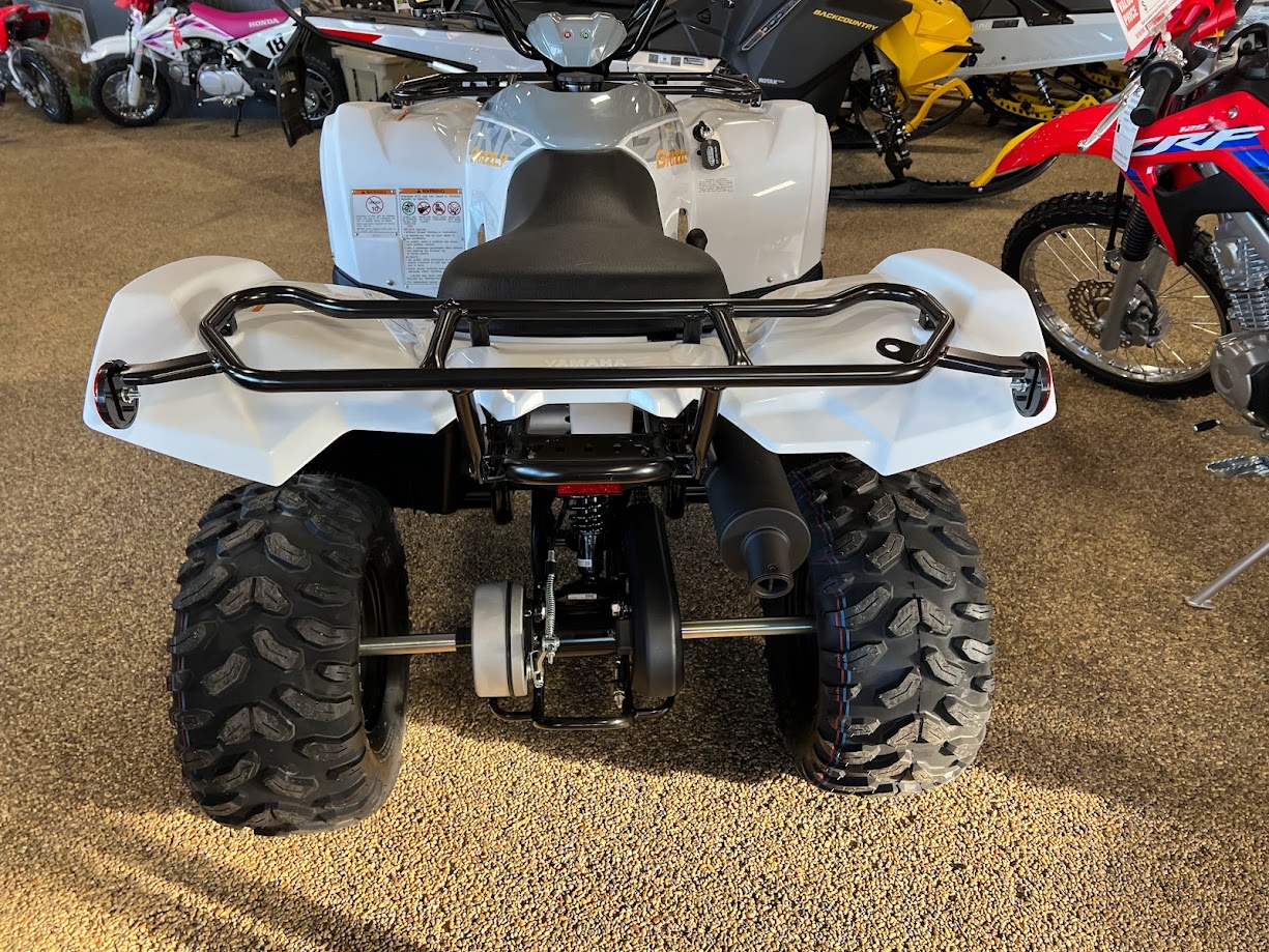2024 Yamaha Grizzly 90 - Photo 4