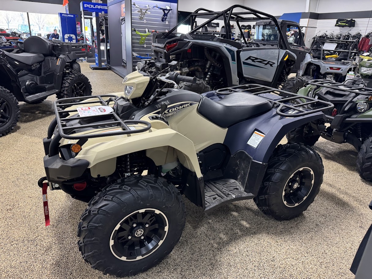 2025 Yamaha Kodiak 450 EPS SE - Photo 3
