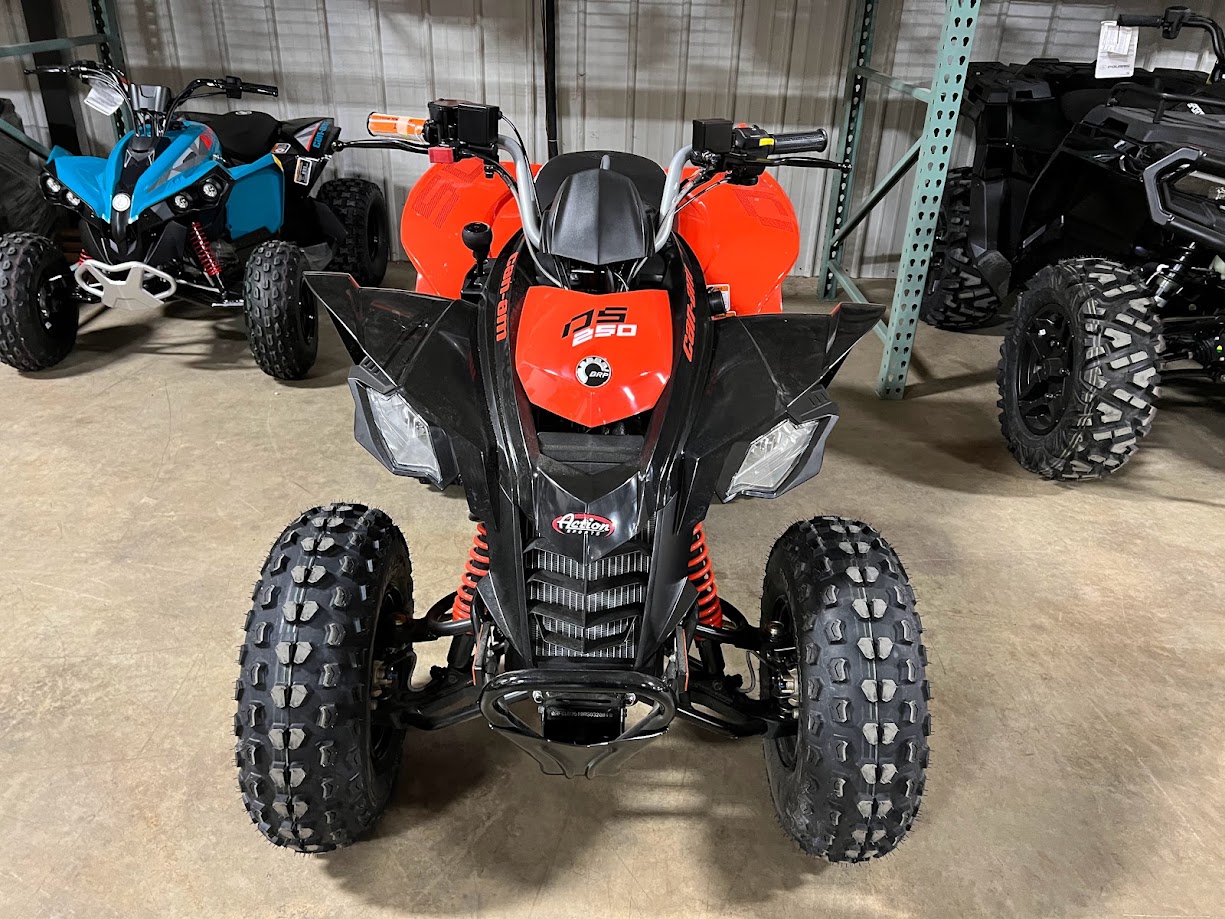 2025 Can-Am DS 250 - Photo 2