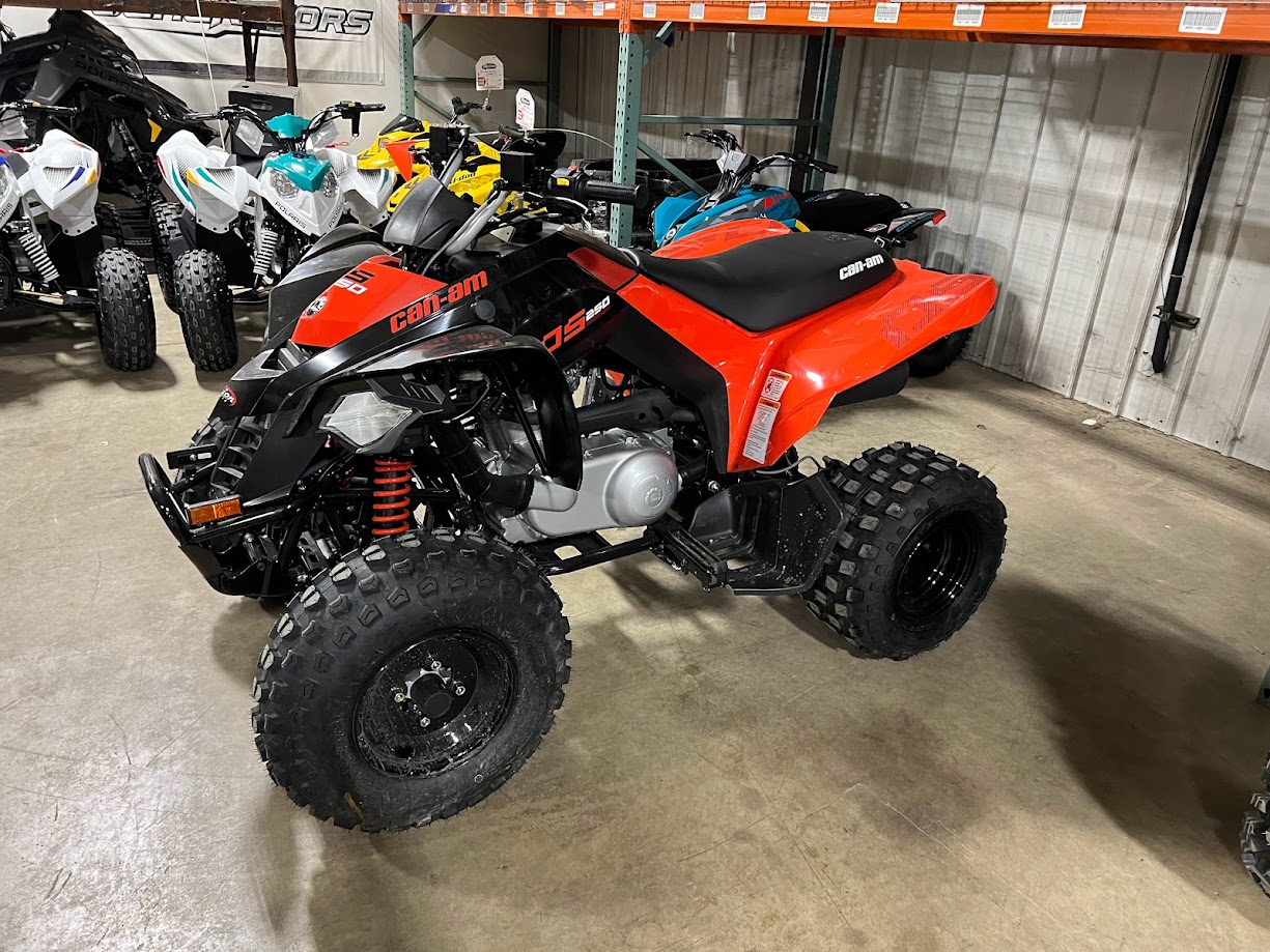 2025 Can-Am DS 250 - Photo 3