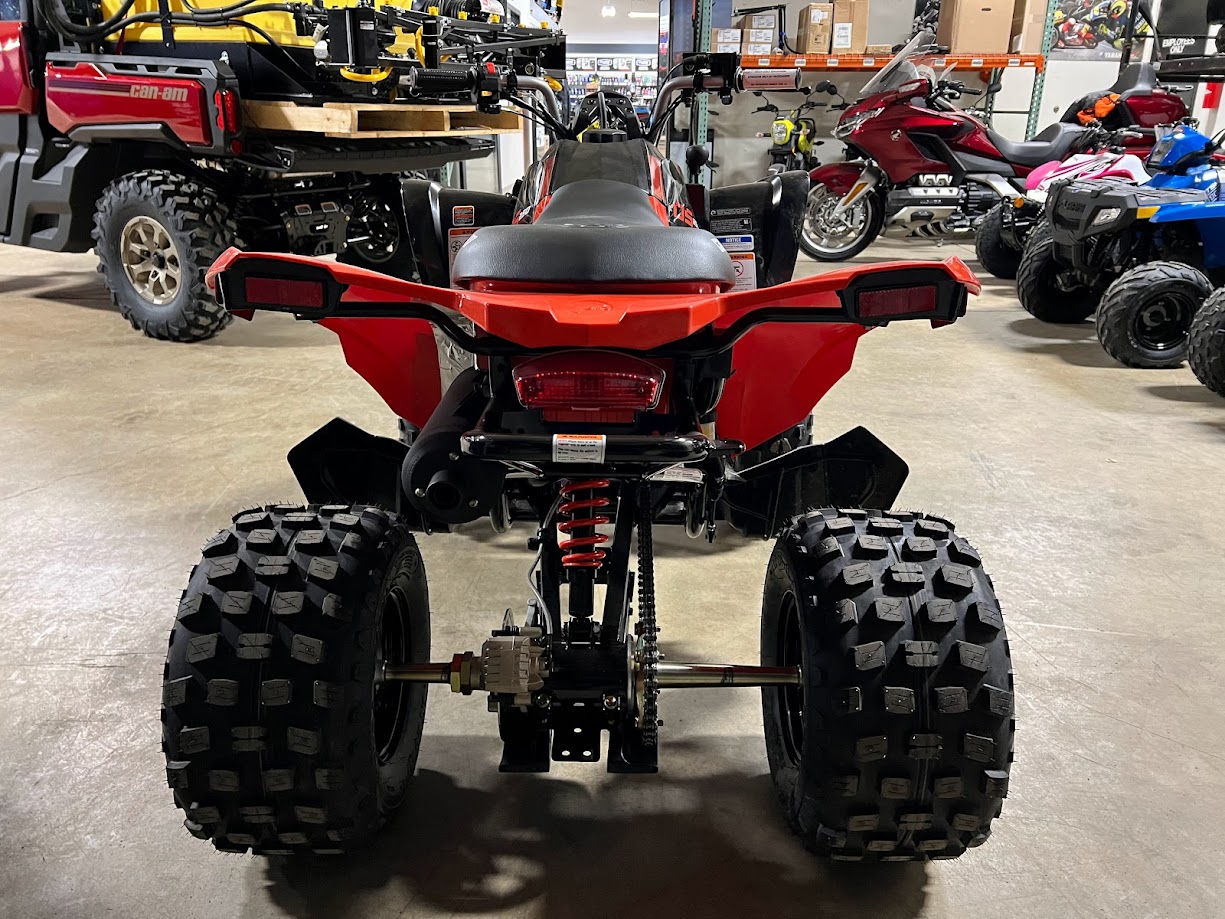 2025 Can-Am DS 250 - Photo 4