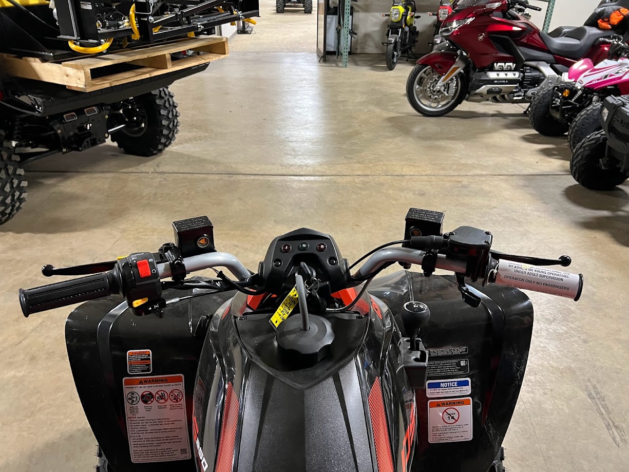 2025 Can-Am DS 250 - Photo 6