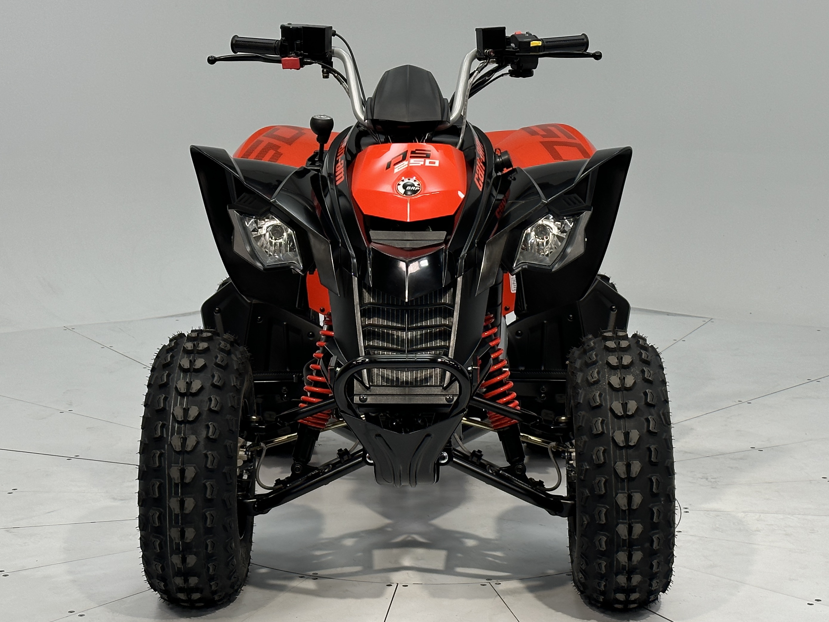 2025 Can-Am DS 250 - Photo 4