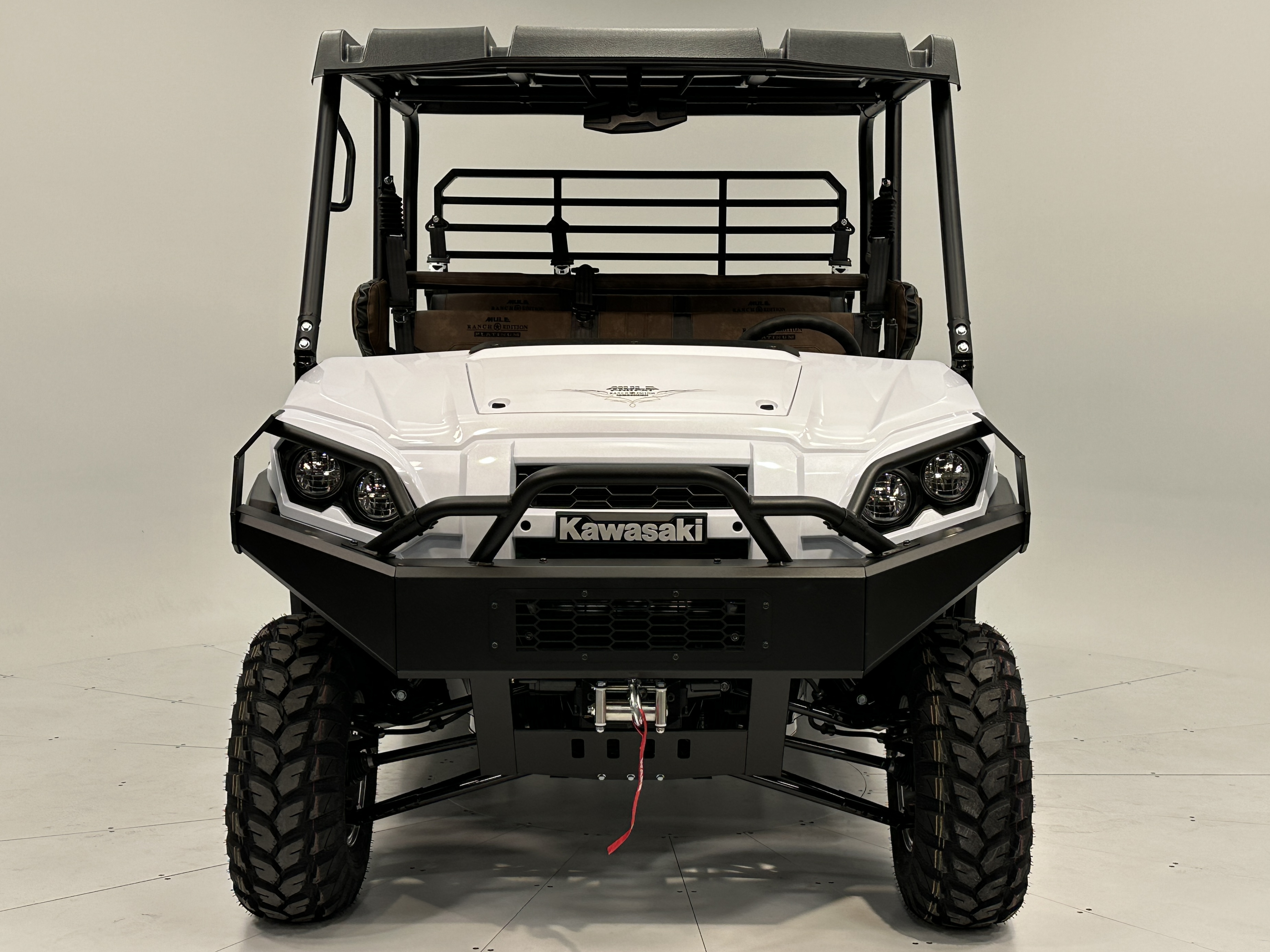 2025 Kawasaki MULE PRO-FXT 1000 LE Platinum Ranch Edition - Photo 4