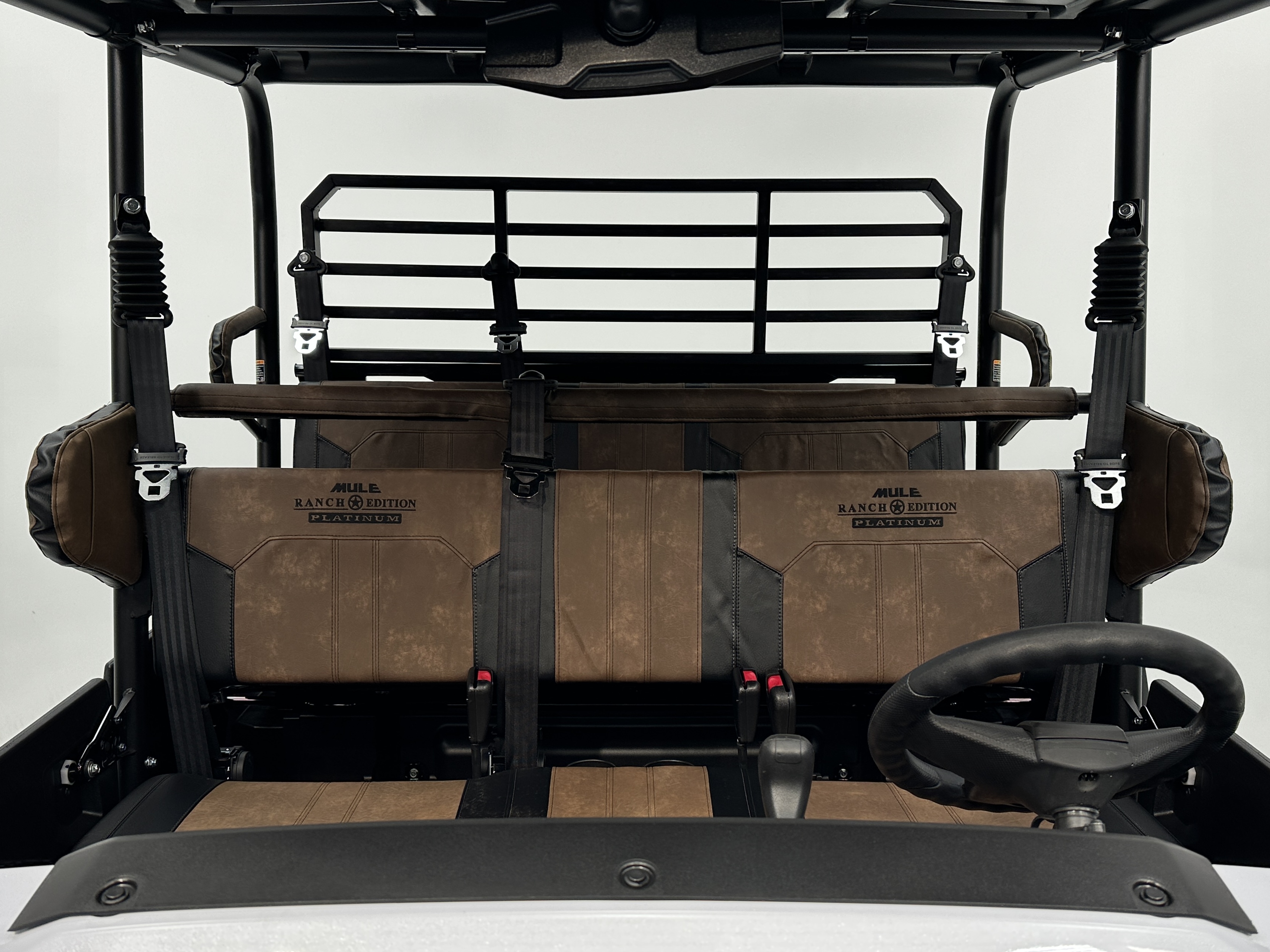 2025 Kawasaki MULE PRO-FXT 1000 LE Platinum Ranch Edition - Photo 12