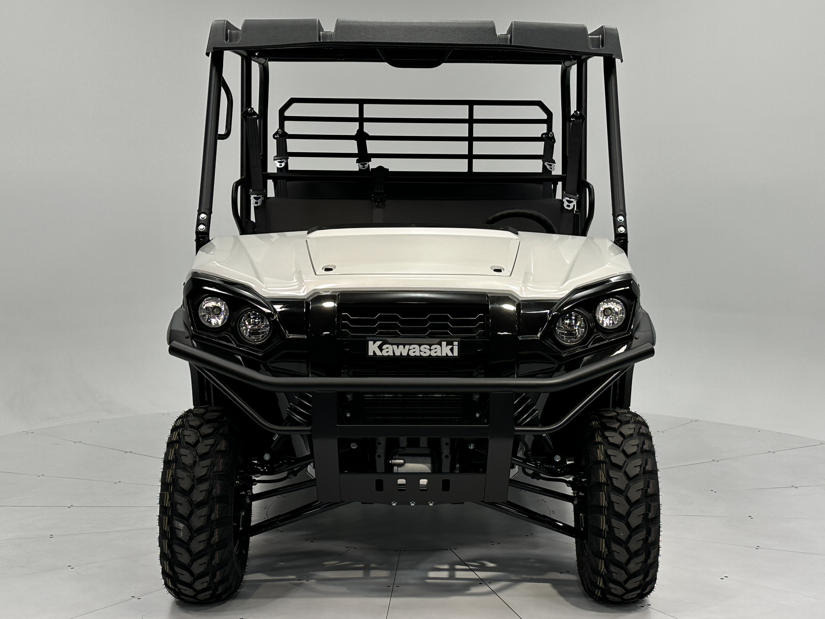 2025 Kawasaki MULE PRO-FXT 1000 LE - Photo 4