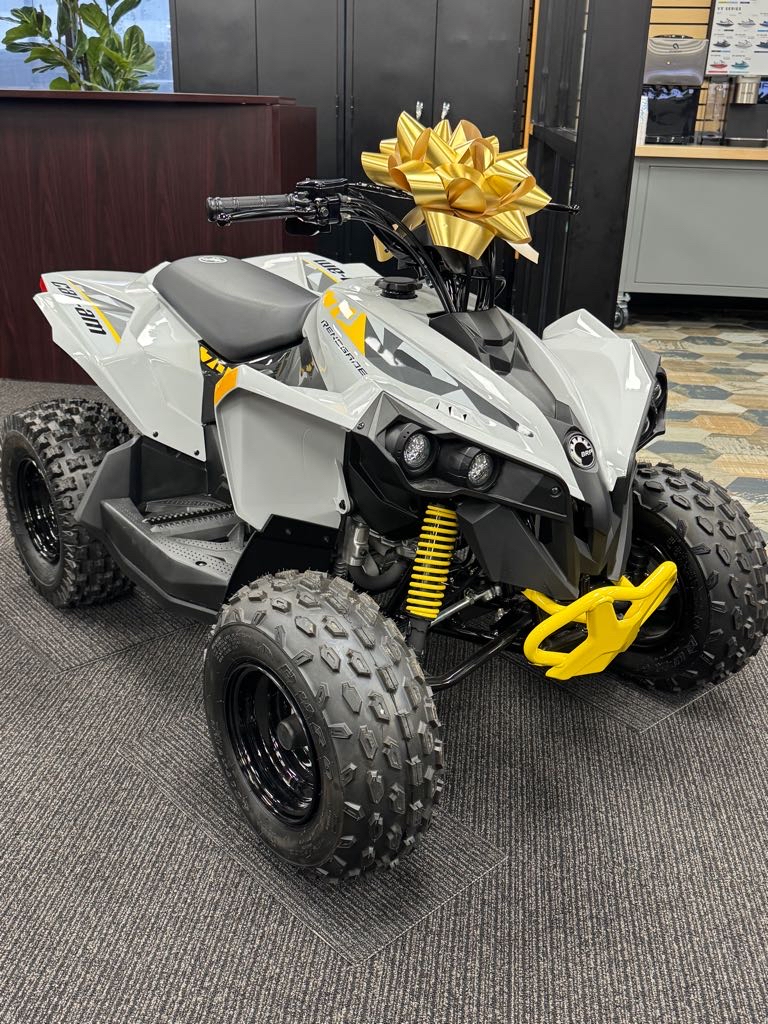 2026 Can-Am Renegade 70 EFI