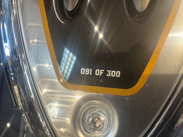 2025 Indian Motorcycle ROADMASTER ELITE - Photo 20