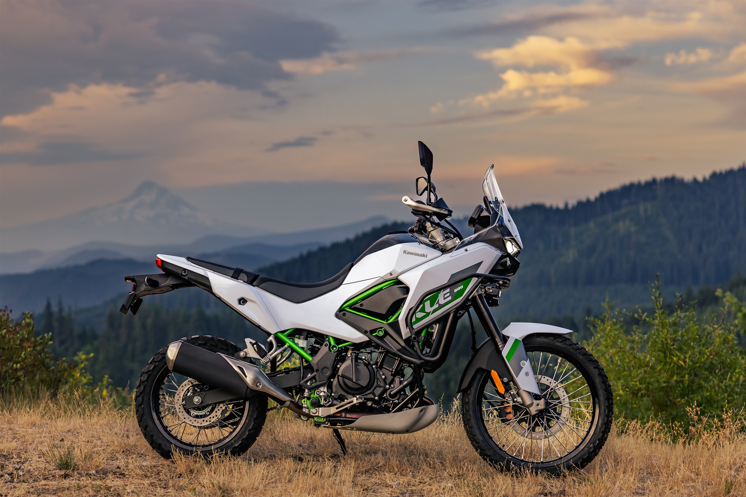 2026 Kawasaki KLE500 SE ABS