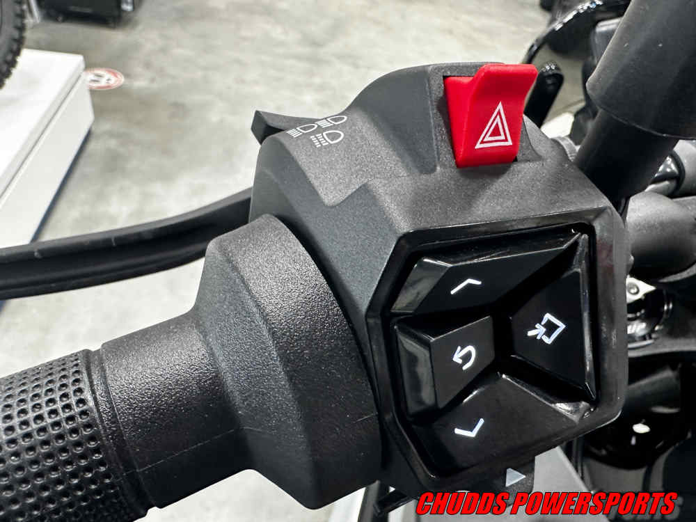 2024 Husqvarna Motorcycles SVARTPILEN 801 - Photo 9