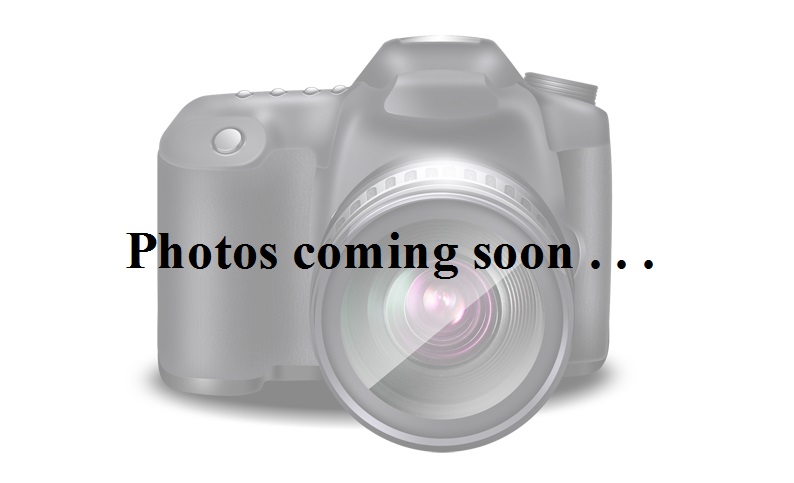Kawasaki Engines Products 20 Hp Vertical Engine For In Coming Soon