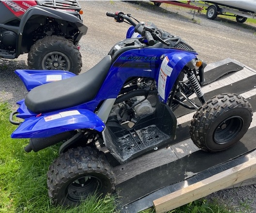 2025 Yamaha Raptor 110 - Photo 4