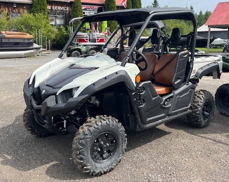 2025 Yamaha Viking EPS - Photo 3