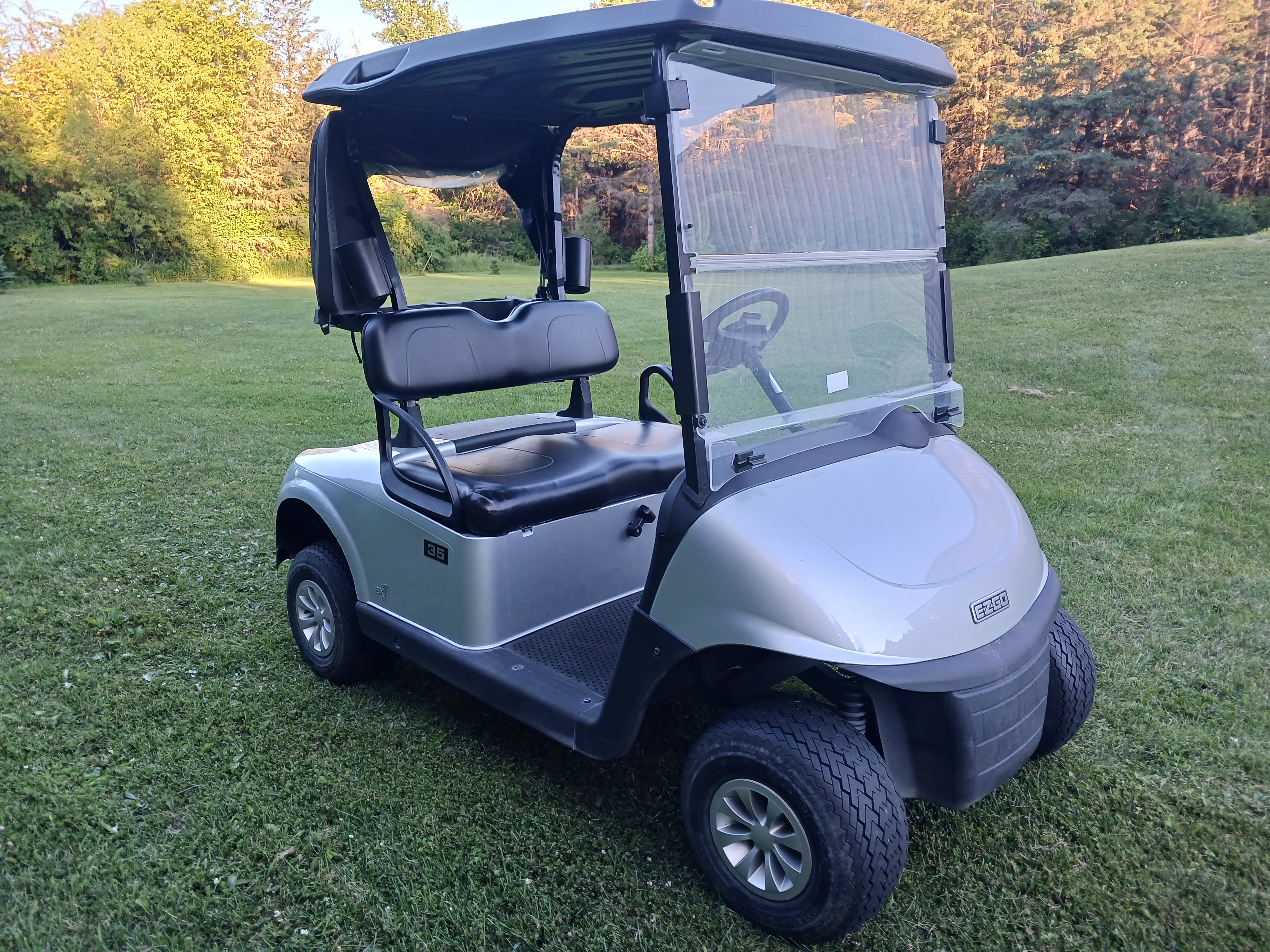 2021 EZGO Freedom
