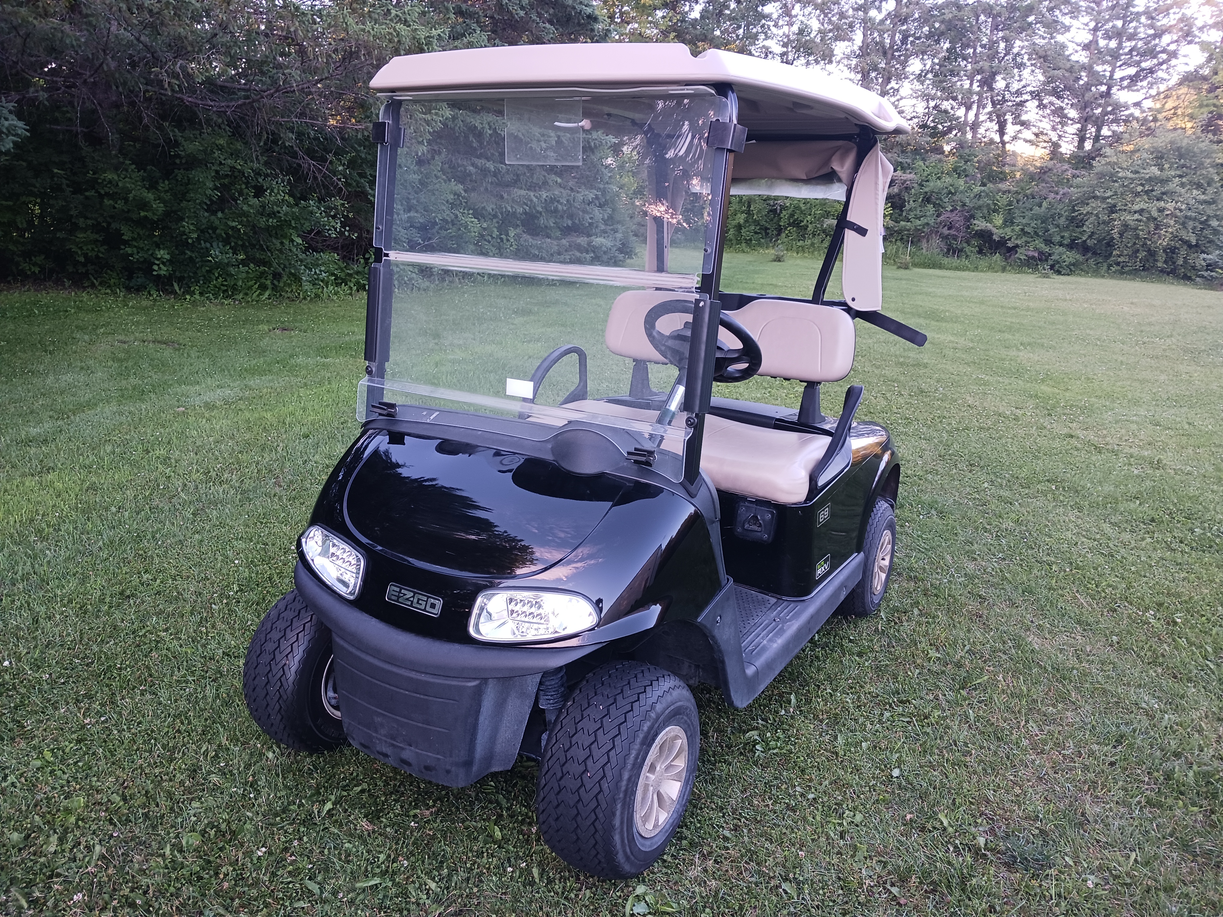 2020 EZGO Freedom