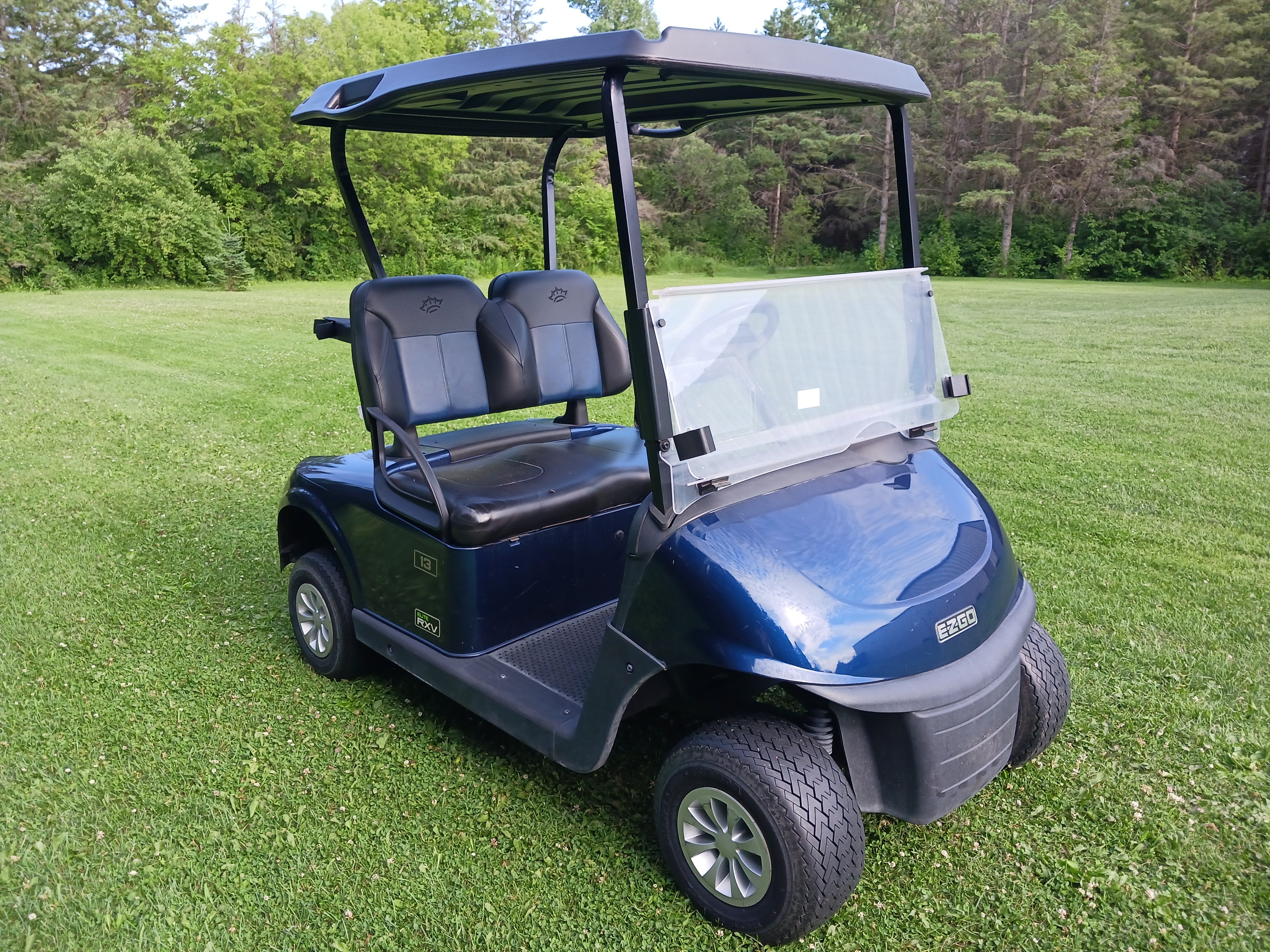2020 EZGO Freedom