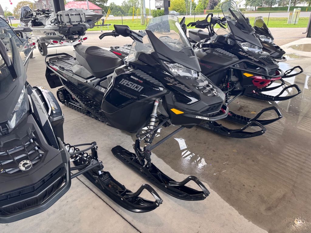 2019 Ski-Doo Renegade Enduro 900 ACE TURBO