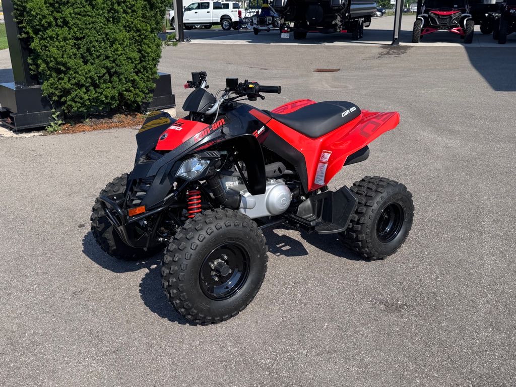 2025 Can-Am DS 250