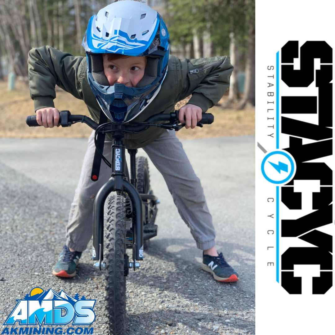2025 STAYCYC 12 EDRIVE - Photo 4