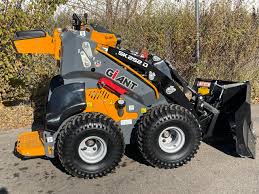 2024 GIANT SK252D - Photo 4