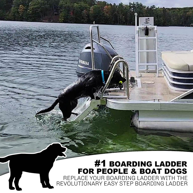 LilliPad Ladders Pioneer Hills Marine Roscommon MI 989 275 5175 lillipad-ladders-pioneer-hills-marine-roscommon-mi-989-275-5175