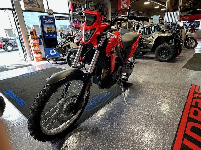 2026 Beta Motorcycles ALP 4.0 - Photo 3