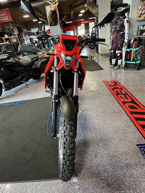 2026 Beta Motorcycles ALP 4.0 - Photo 6