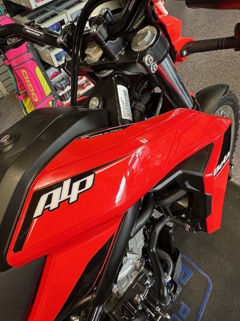 2026 Beta Motorcycles ALP 4.0 - Photo 10