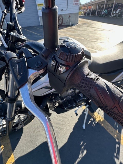 2026 Beta Motorcycles ALP X - Photo 6