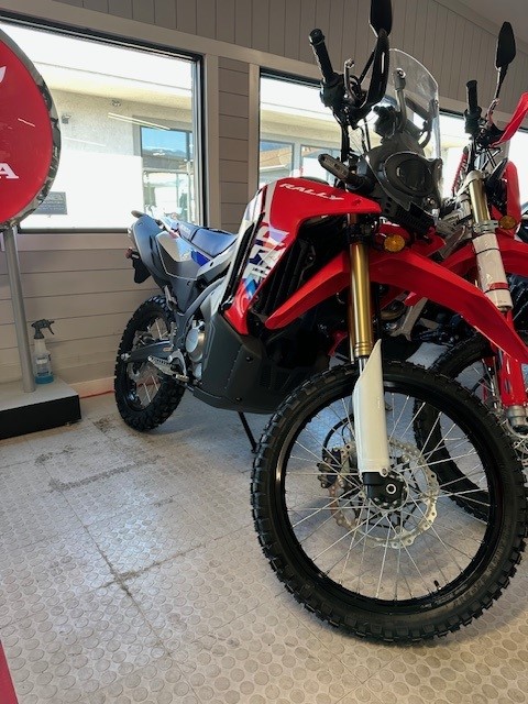 2025 Honda CRF300L RALLY ABS - Photo 8