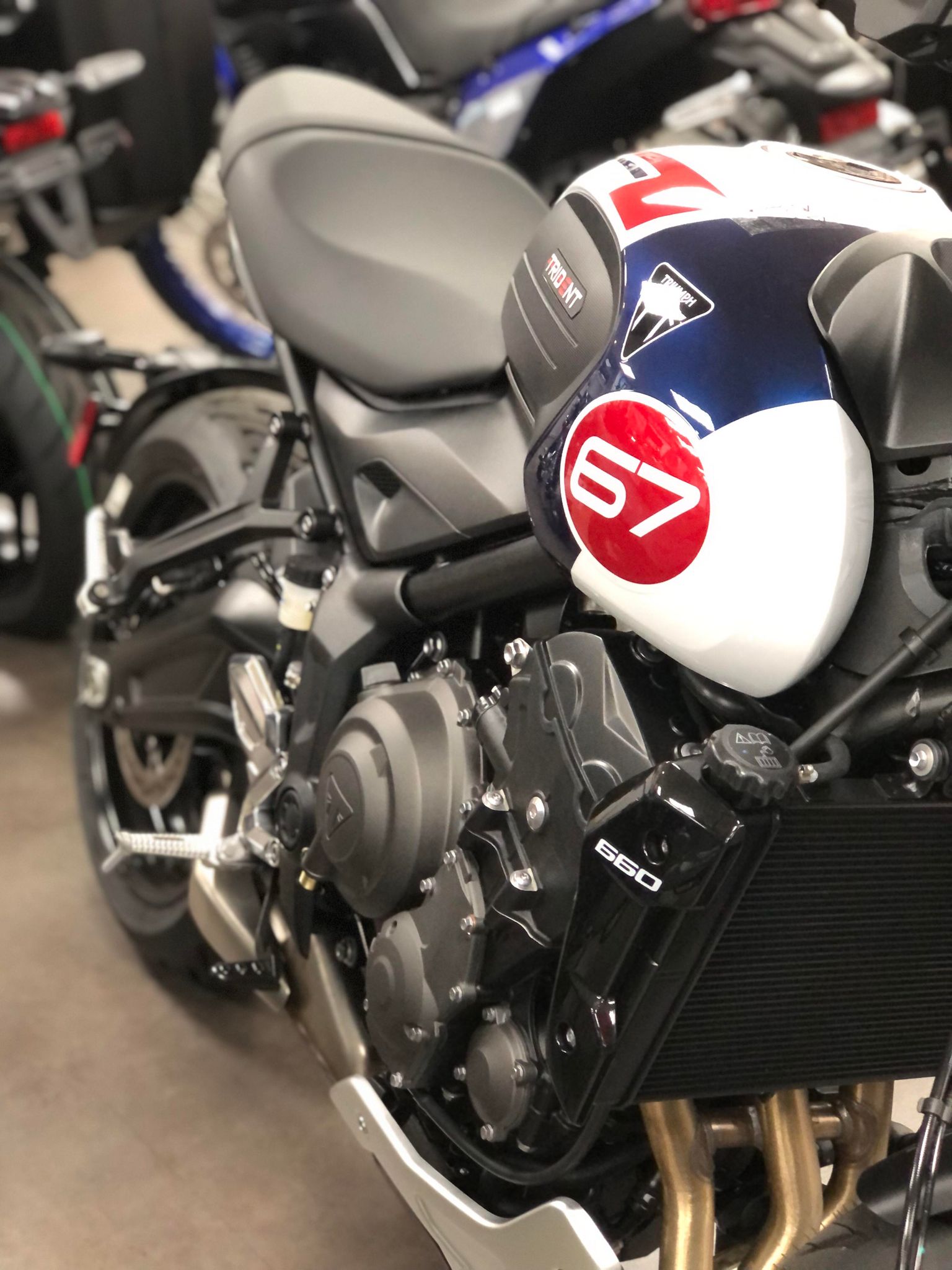 2025 Triumph Trident 660 Triple Tribute - Photo 3