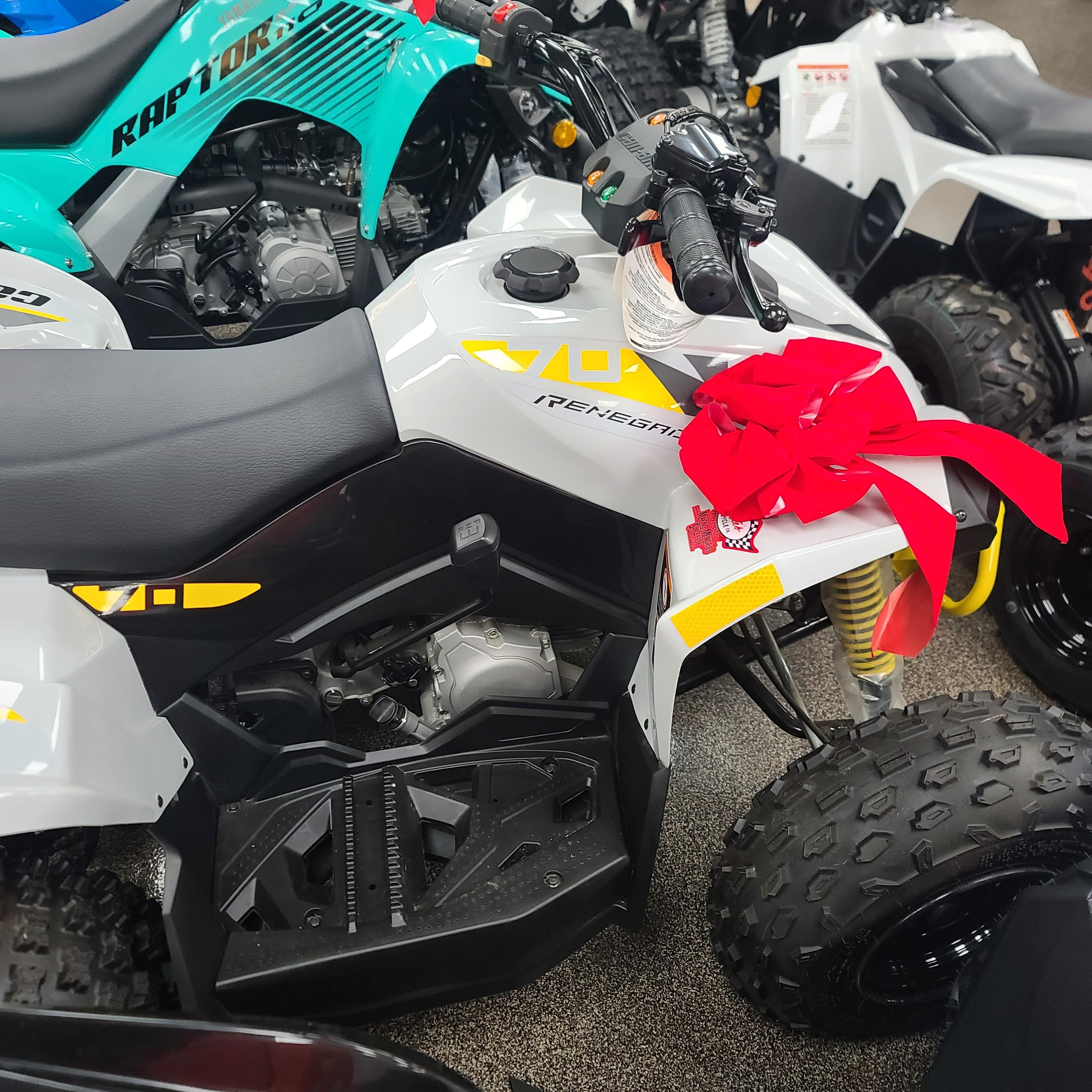 2025 Can-Am Renegade 70 EFI - Photo 2