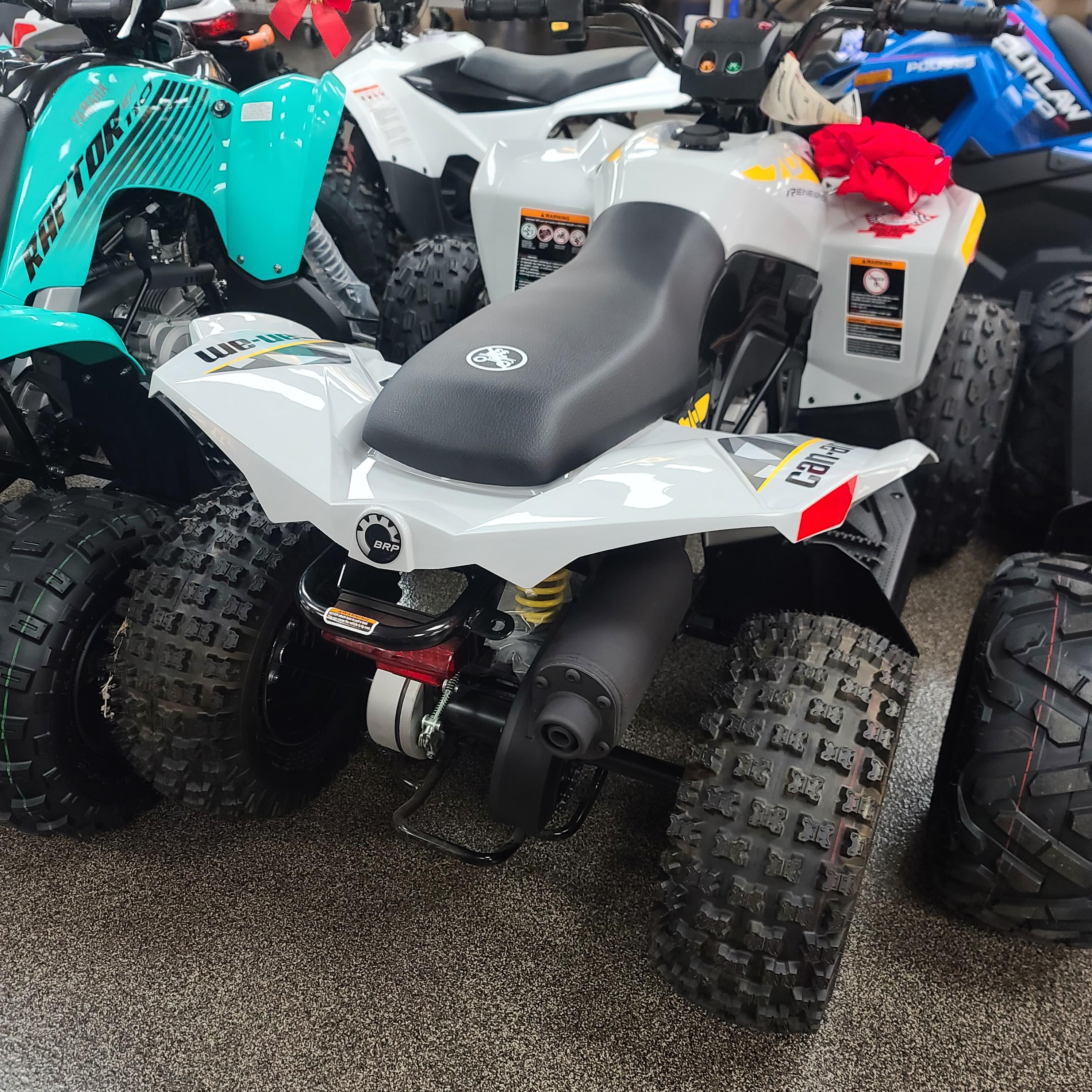 2025 Can-Am Renegade 70 EFI - Photo 3