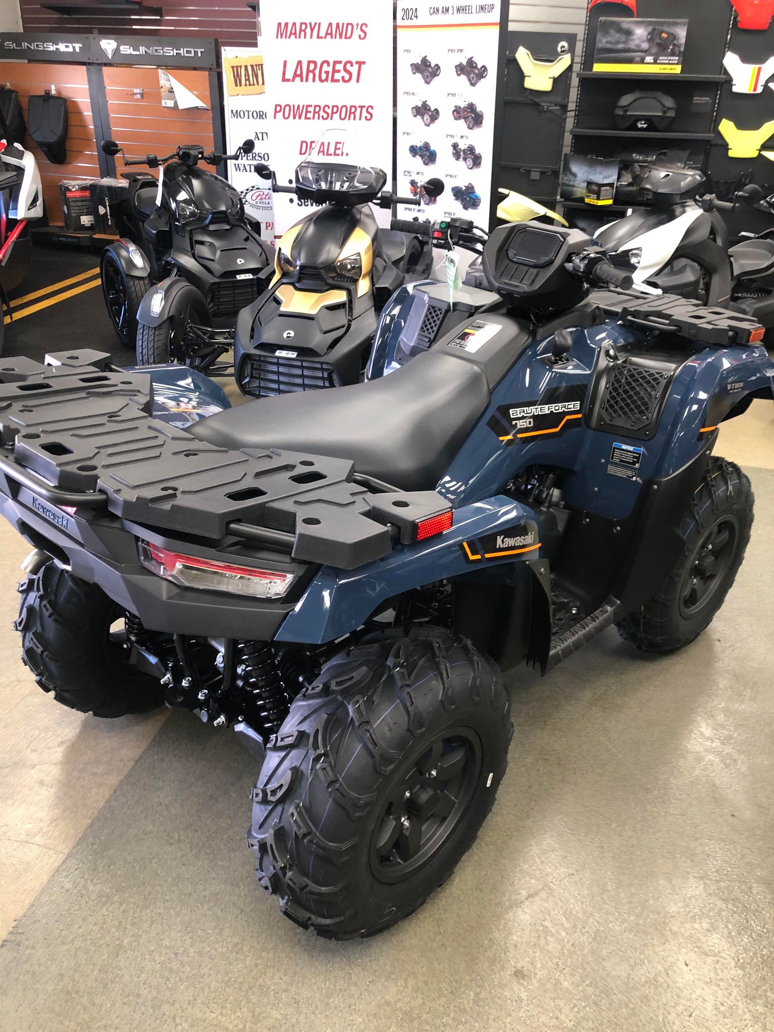 2025 Kawasaki Brute Force® 750 EPS - Photo 6