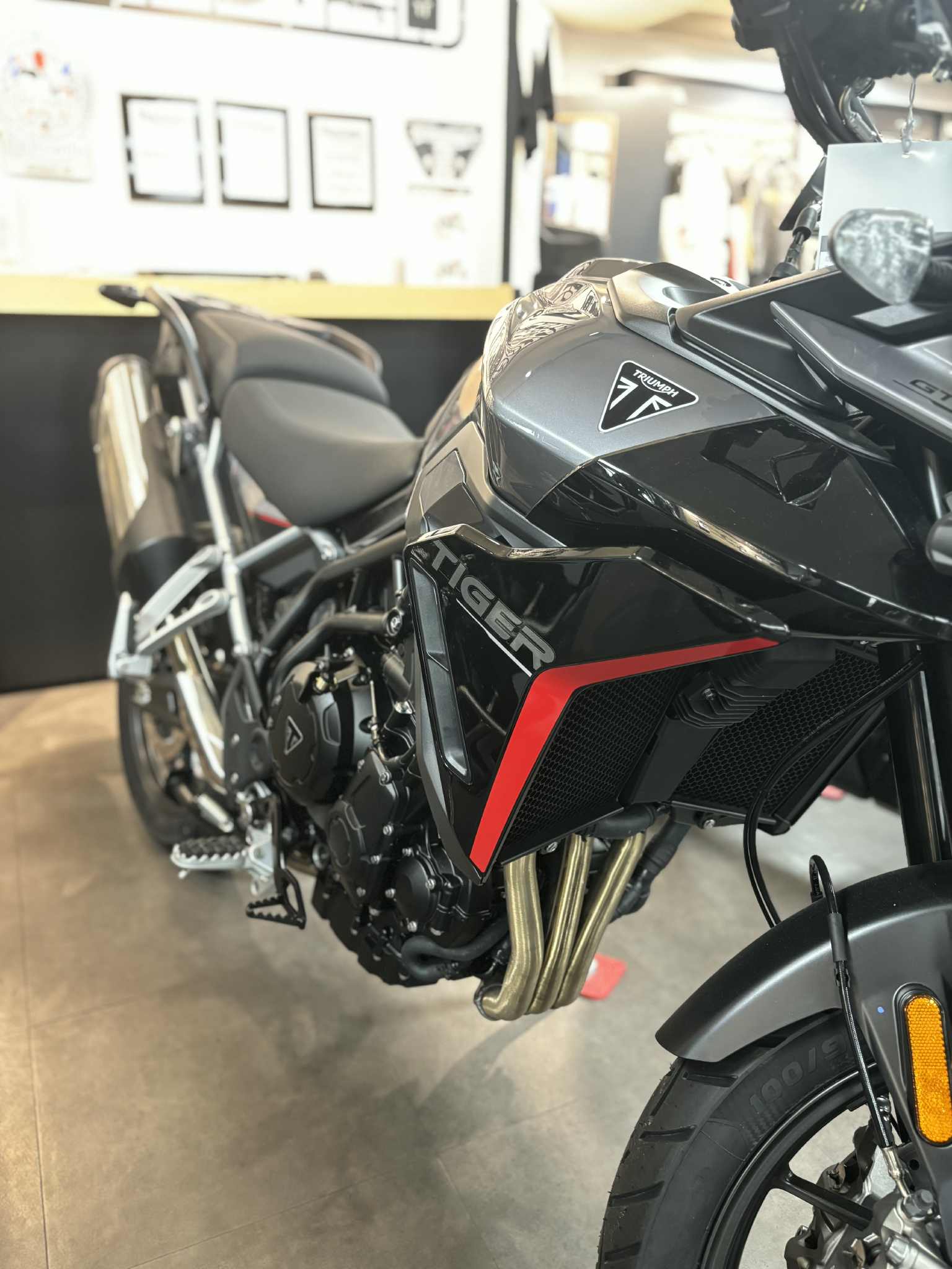 2025 Triumph Tiger 900 GT Pro - Photo 3