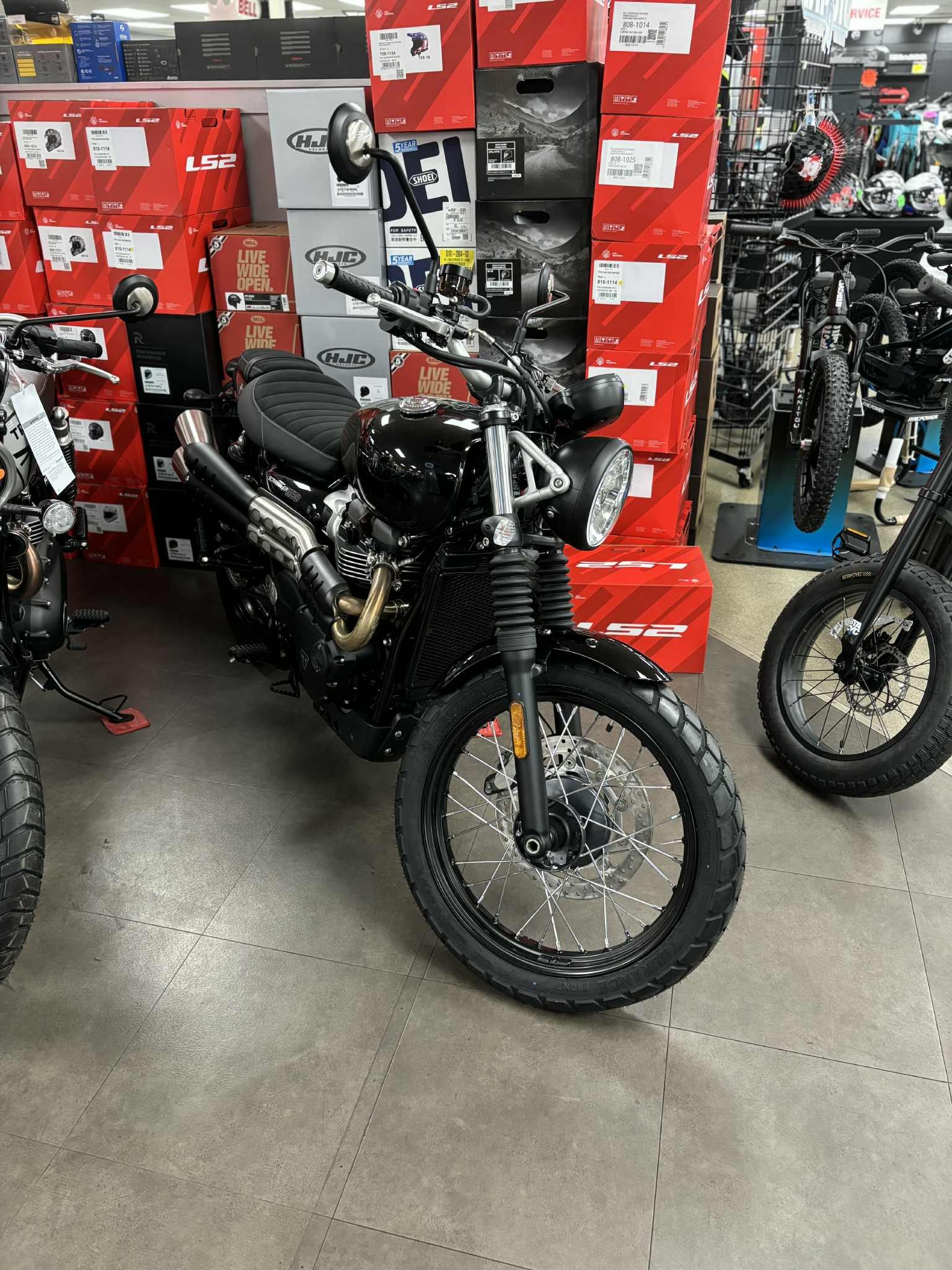 2024 Triumph Scrambler 900