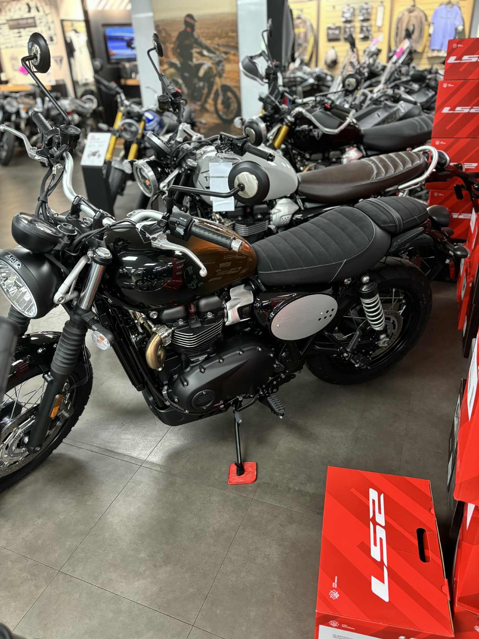 2024 Triumph Scrambler 900 - Photo 7