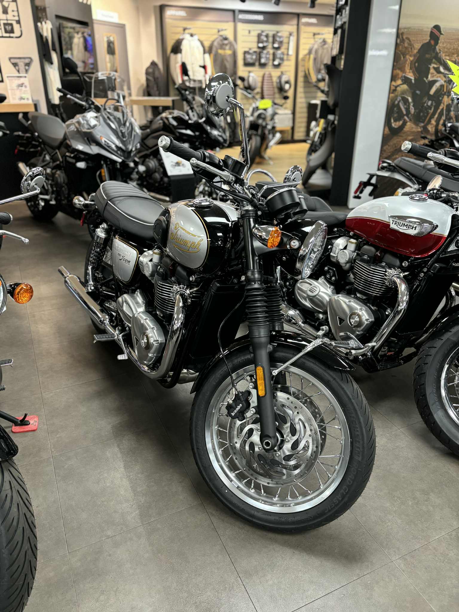 2025 Triumph Bonneville T120 (ICON)